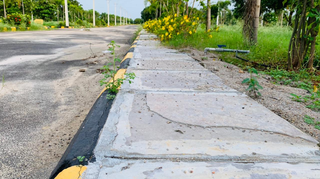 ever mark properties